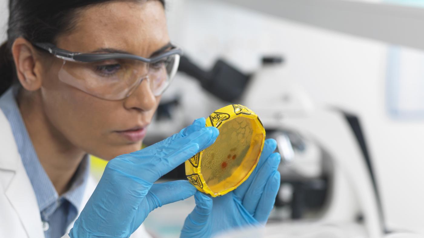 What Is the Difference Between Microbicidal and Microbiostatic?