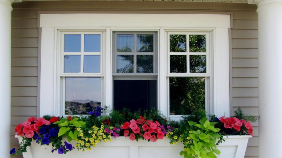 What Caused the Death of Nilda Lavoe?