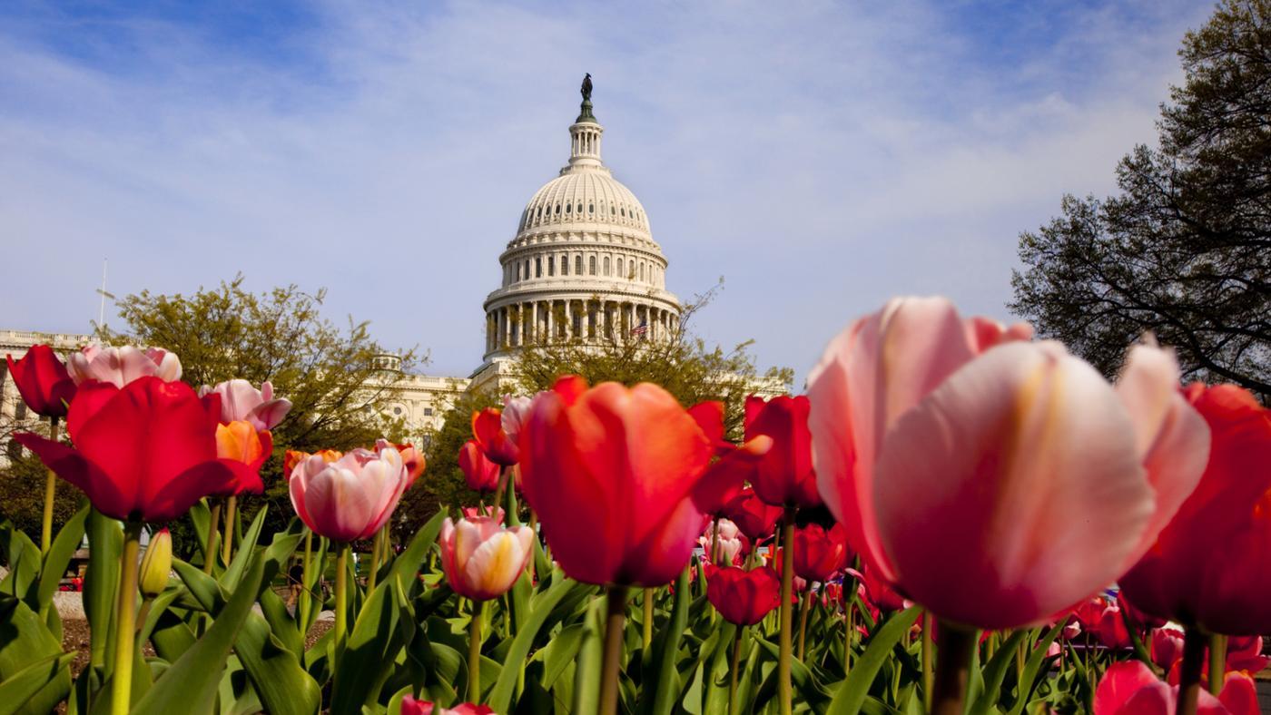what are the five non voting members of congress