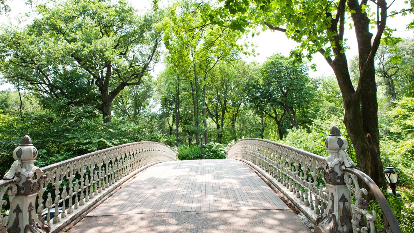 What Is The Minimum Height Of An Unmarked Bridge