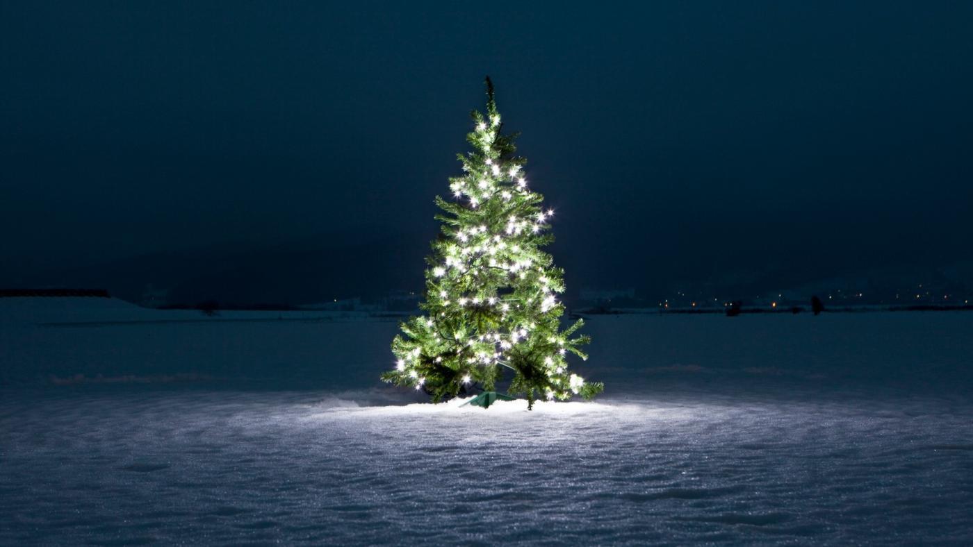 what-does-the-christmas-tree-symbolize-christmas-light-source