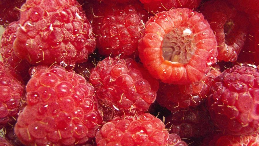 What are the Hairs on Raspberries? 