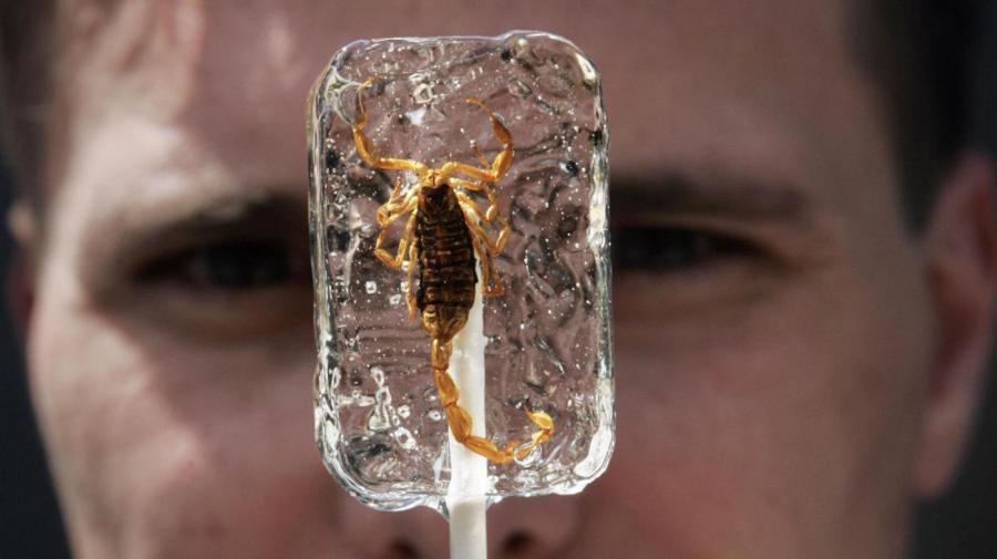 Can You Eat a Scorpion Lollipop?