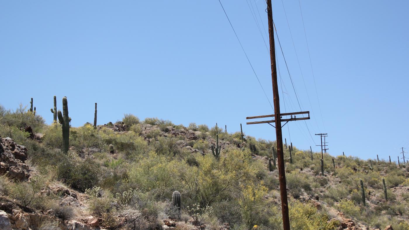 How Tall Is a Telephone Pole?