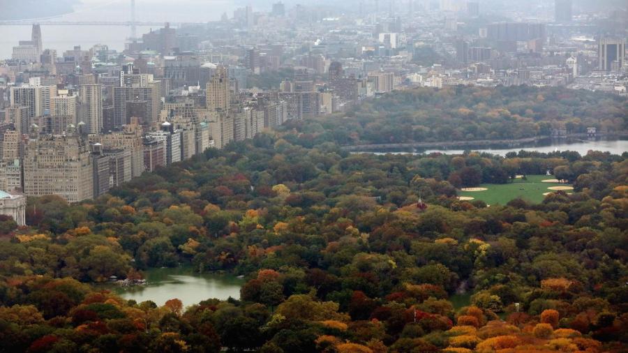 What the Size Central Park in New York?