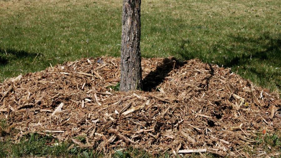 How Much Does a Cubic Yard of Mulch Weigh?