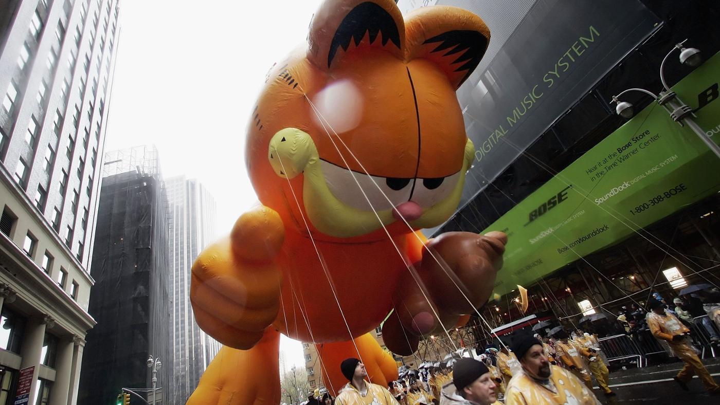 What Breed of Cat Is Garfield?