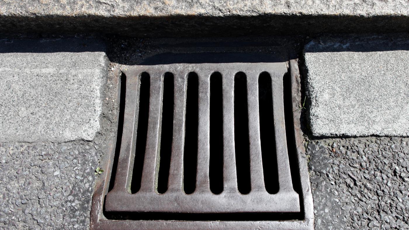 Carmen Winstead The Story: What Really Happened with the Internet’s Scariest Chain Letter