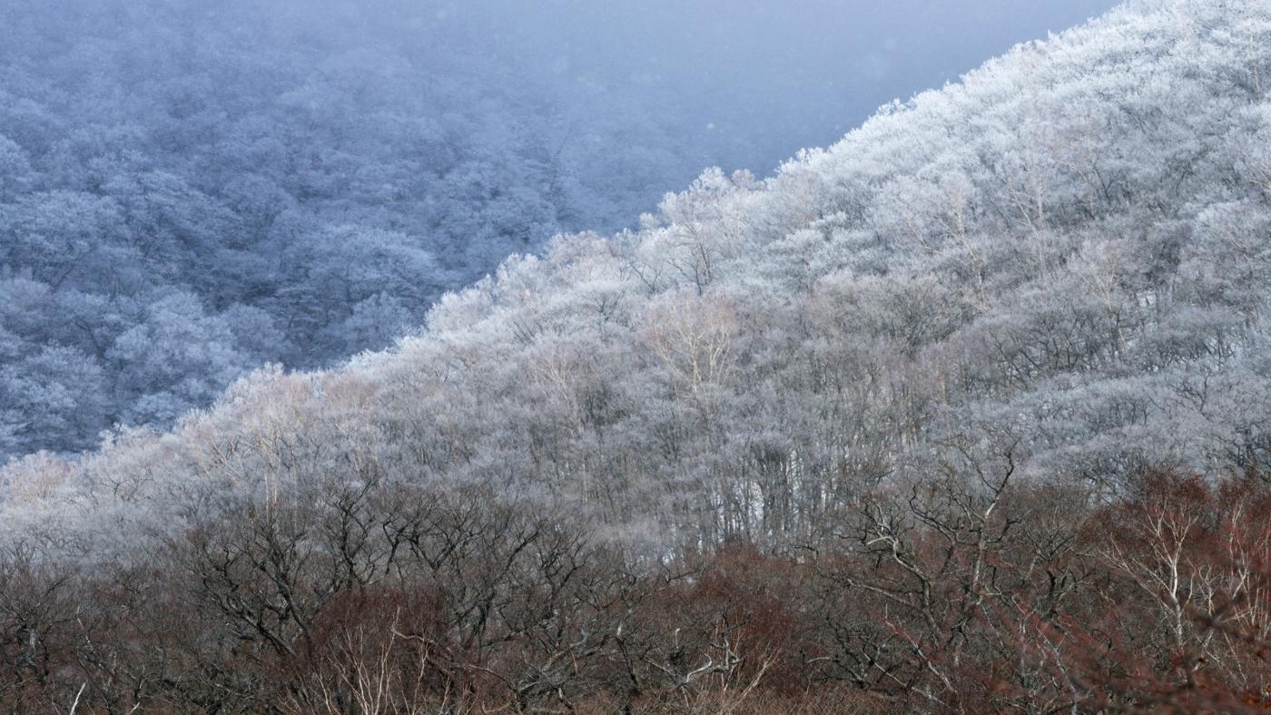 What Is a Frost Line Depth Chart?