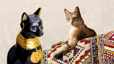 Fantastic Felines: How Cats Became Divine Symbols in Ancient Egypt