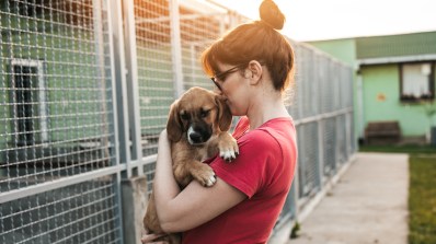 5 of the Best and Most Reputable Animal Rescue Charities to Support