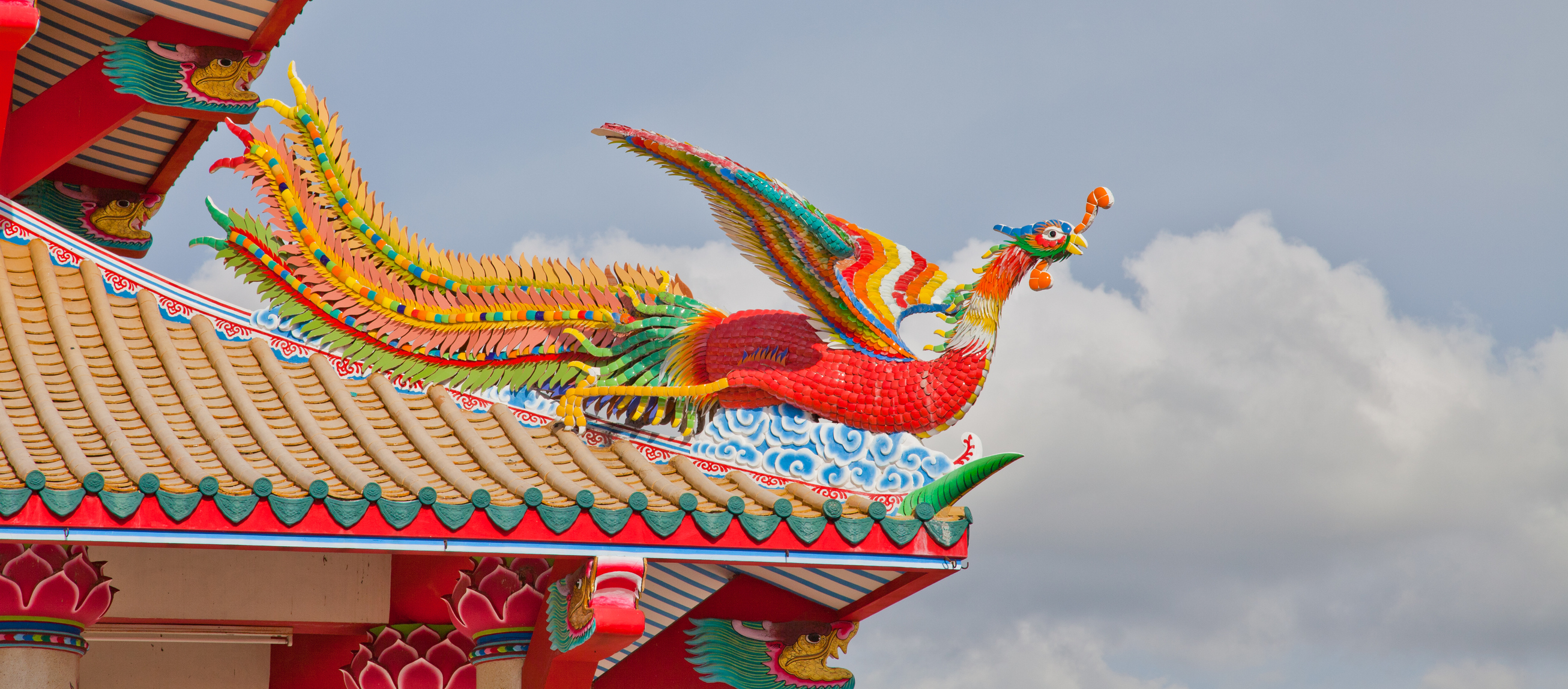 What Does It Mean When a Bird Flies Into Your House?