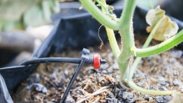 How Installing Drip Irrigation Is Good for the Environment