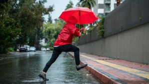 How Climate Change Will Impact Your Local Rainfall Totals