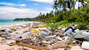 What Is the Break Free From Plastic Pollution Act?