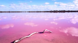Find Out How Salt Colors These Pink Lakes