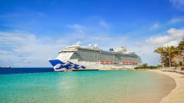 The Basics of the Perfect Royal Caribbean Cruise