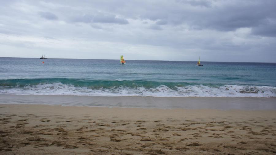 Why Does Sand Absorb Water?