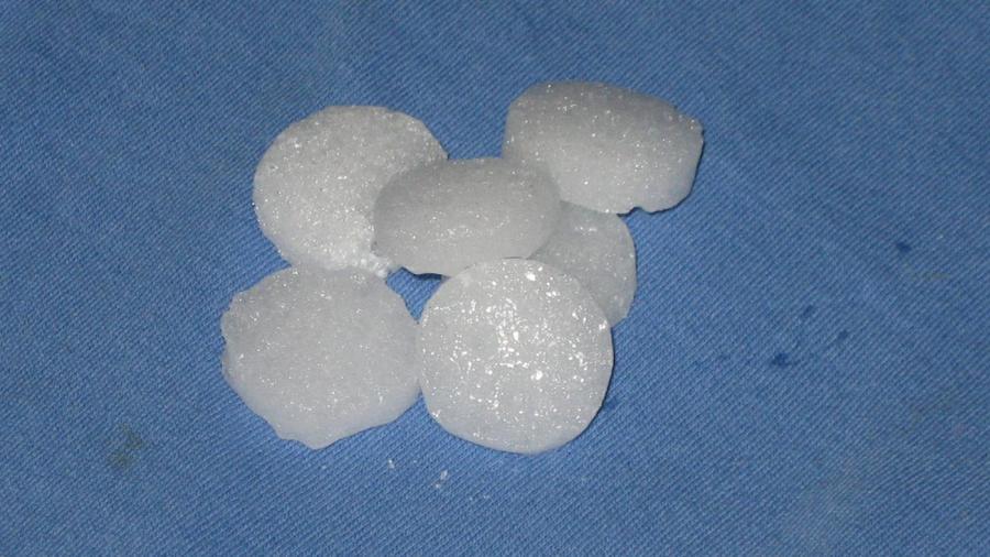 Do Moth Balls Kill Fleas?