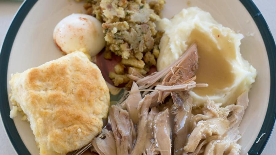 What Are the Four Main Biomolecules and Their Functions?