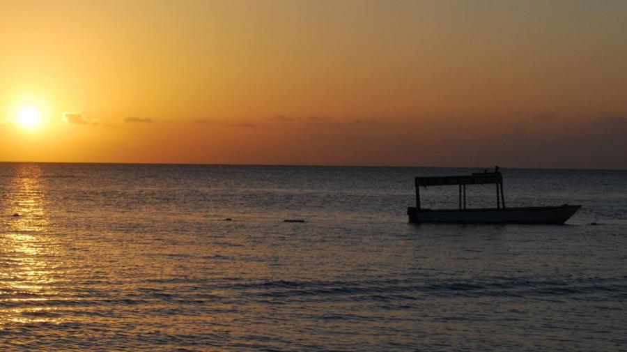 What Is the ZIP Code for Kingston, Jamaica?