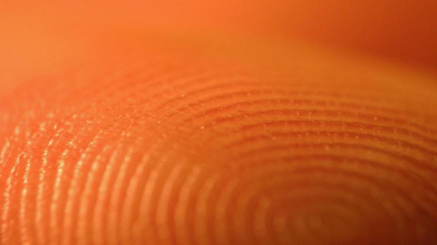 How Long Do Fingerprints Last?