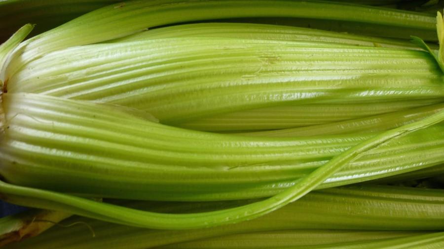 What Are the Strings in Celery Stalks?