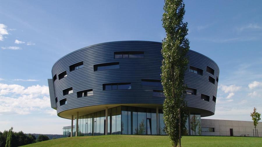 What Is the Difference Between Oblong and Oval?